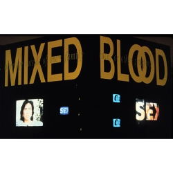 AAS-Faculty-Publications-Mixed-Blood