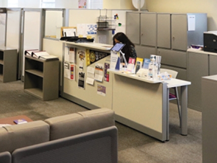 office of CSLD